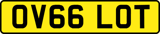 OV66LOT