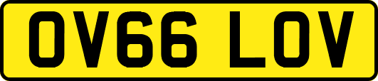 OV66LOV