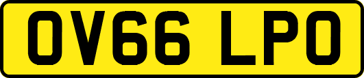 OV66LPO