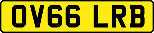 OV66LRB