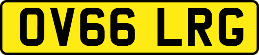 OV66LRG