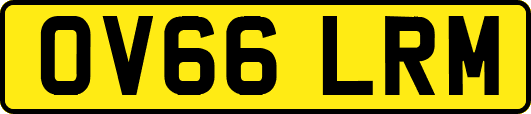 OV66LRM