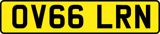 OV66LRN