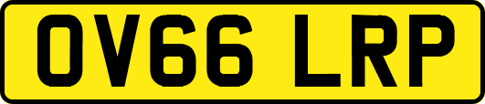 OV66LRP