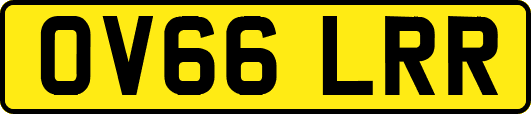 OV66LRR