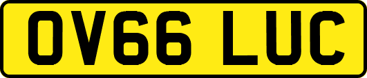OV66LUC