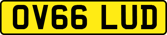 OV66LUD