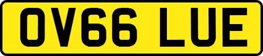 OV66LUE