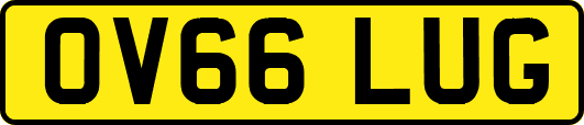 OV66LUG