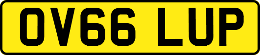 OV66LUP