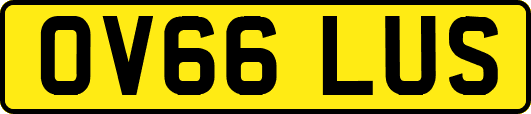 OV66LUS