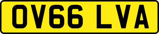 OV66LVA