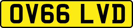 OV66LVD