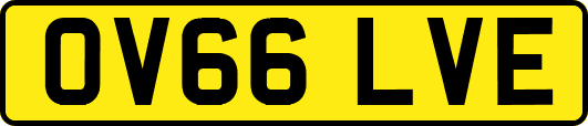 OV66LVE