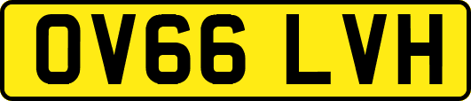 OV66LVH
