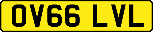OV66LVL