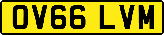 OV66LVM