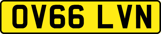 OV66LVN