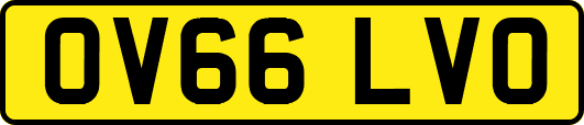 OV66LVO