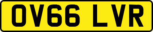 OV66LVR