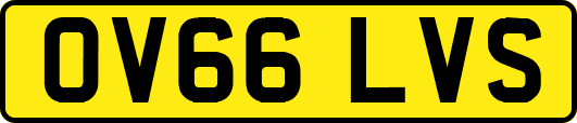 OV66LVS