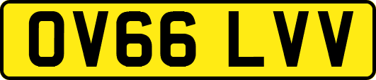 OV66LVV
