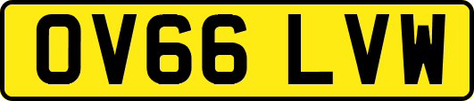 OV66LVW