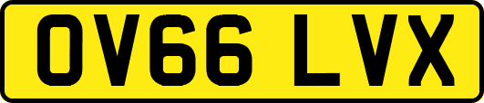 OV66LVX
