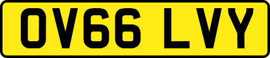 OV66LVY