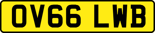 OV66LWB