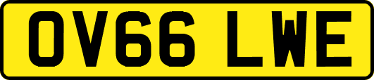 OV66LWE