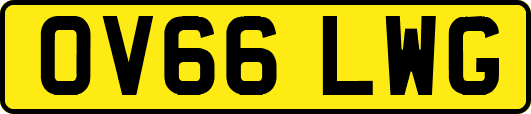 OV66LWG