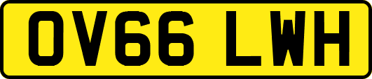 OV66LWH