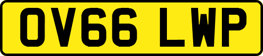 OV66LWP