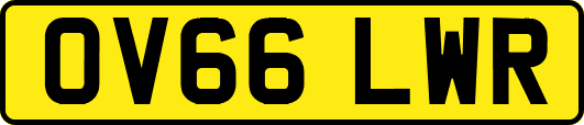OV66LWR