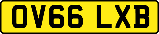 OV66LXB