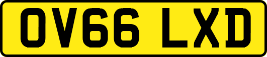 OV66LXD