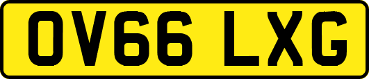 OV66LXG