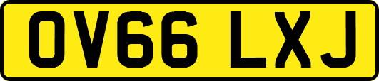 OV66LXJ