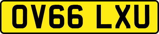 OV66LXU