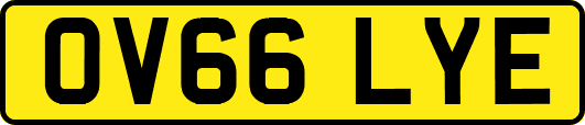 OV66LYE