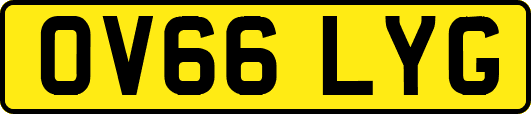 OV66LYG