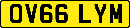 OV66LYM