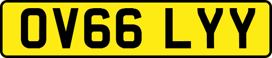 OV66LYY
