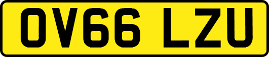 OV66LZU