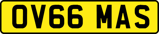 OV66MAS