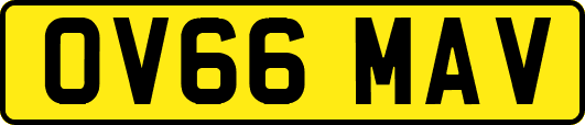 OV66MAV