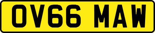OV66MAW