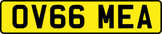 OV66MEA