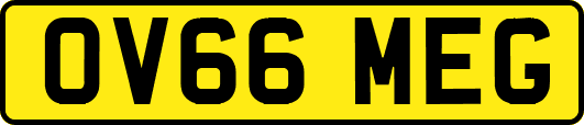 OV66MEG